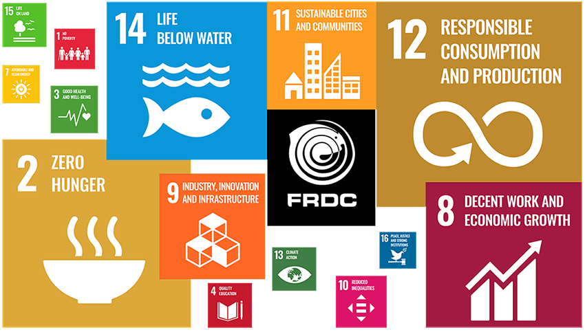FRDC's investments since 1 July 2021: size of UN SDG weighted to reflect number of projects which address it (noting some projects touch more than one SDG). FRDC's investments since 1 July 2021: size of UN SDG weighted to reflect number of projects which address it (noting some projects touch more than one SDG).