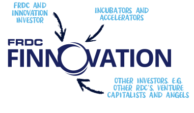 Finnovation graphic explaining funding tunnel