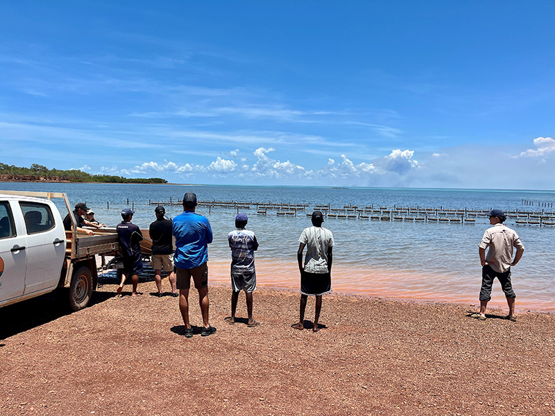 Photo of the Goulburn Island oyster farm, south of Warruwi.