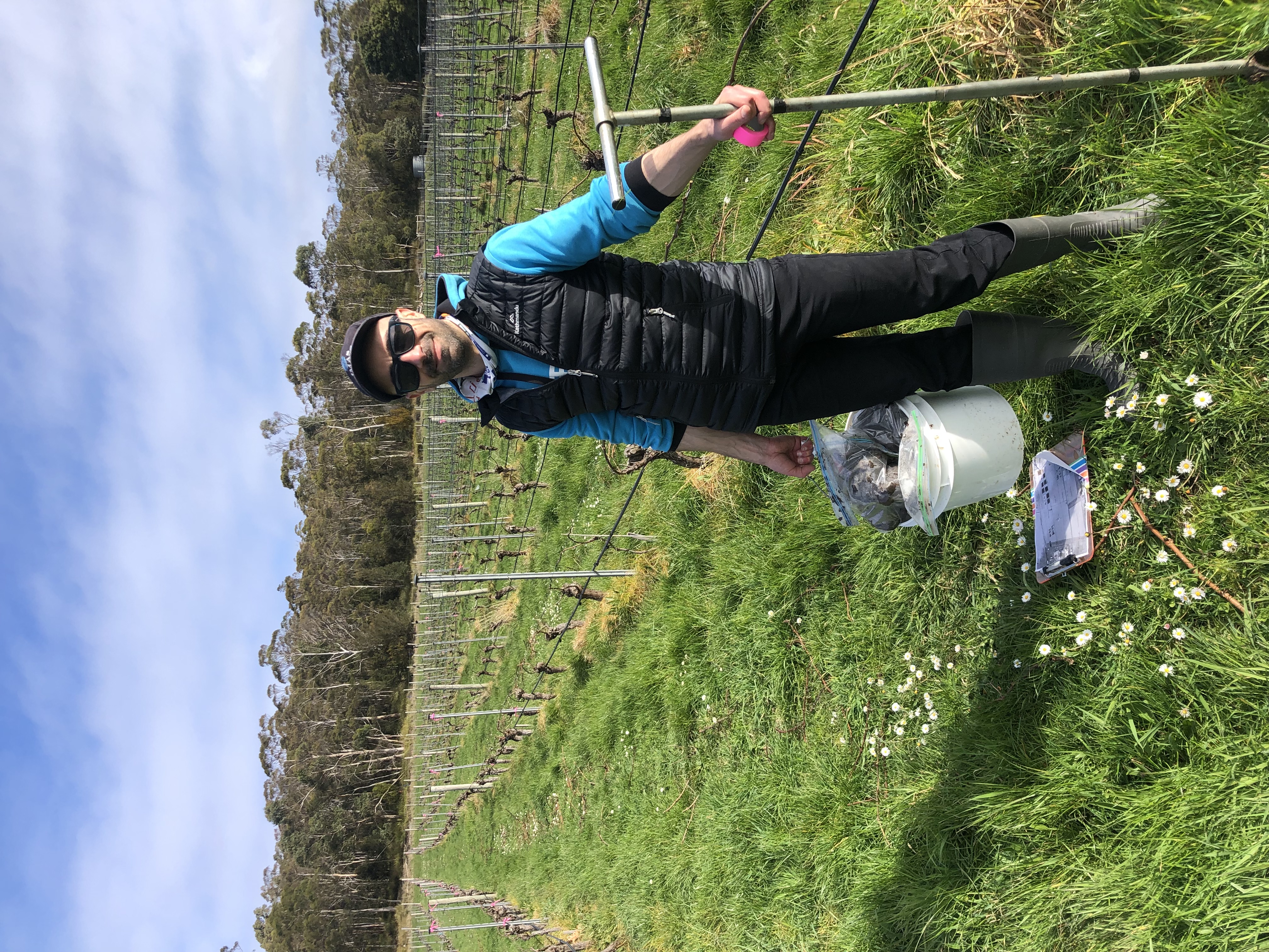 Pictured: Technical Officer, Paolo Campus, taking soil cores (samples) at the vineyard field site