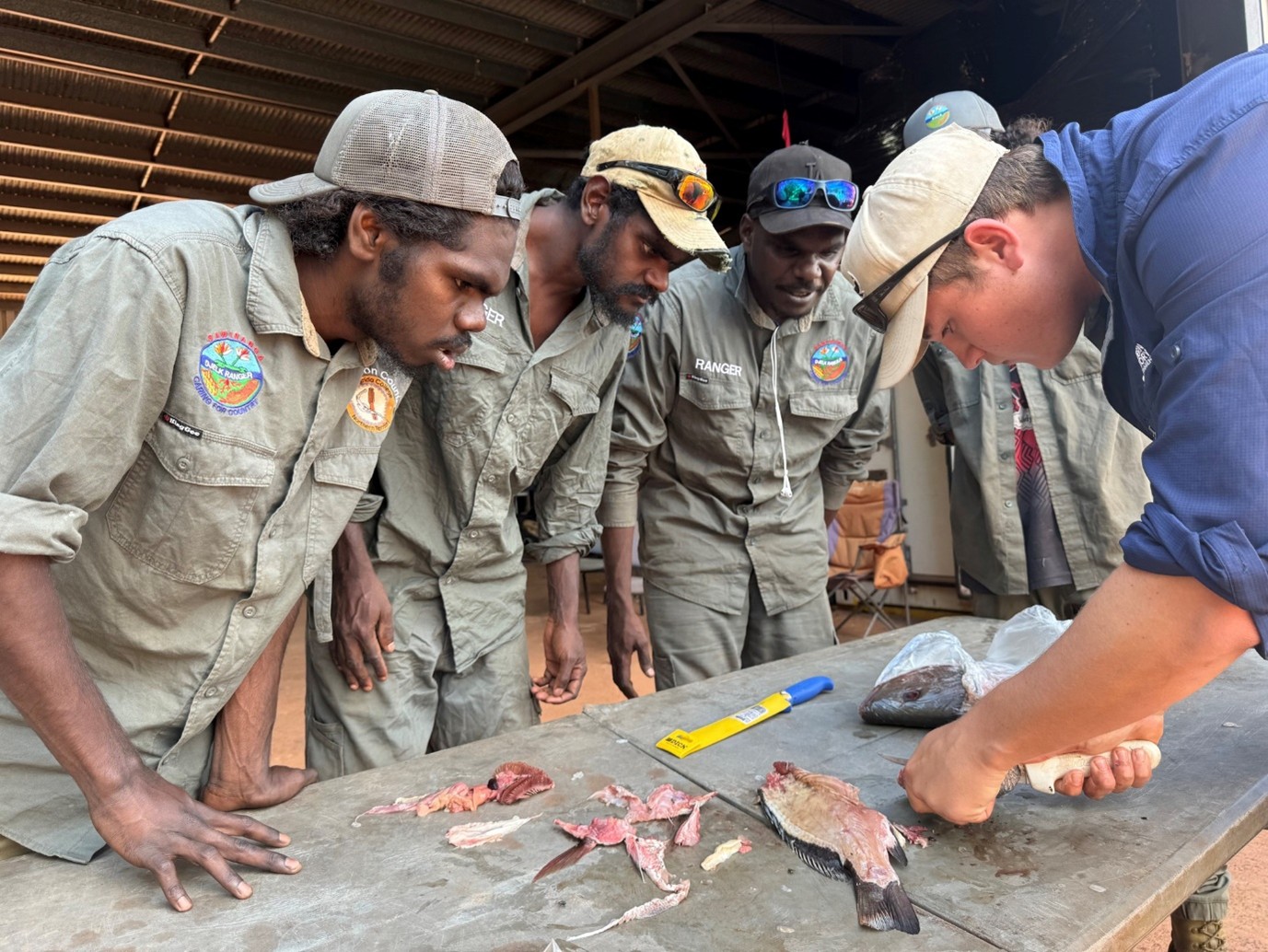 Indigenous Rangers looking at Mangrove Jack Frame research