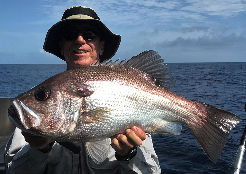 Pearl perch on sale