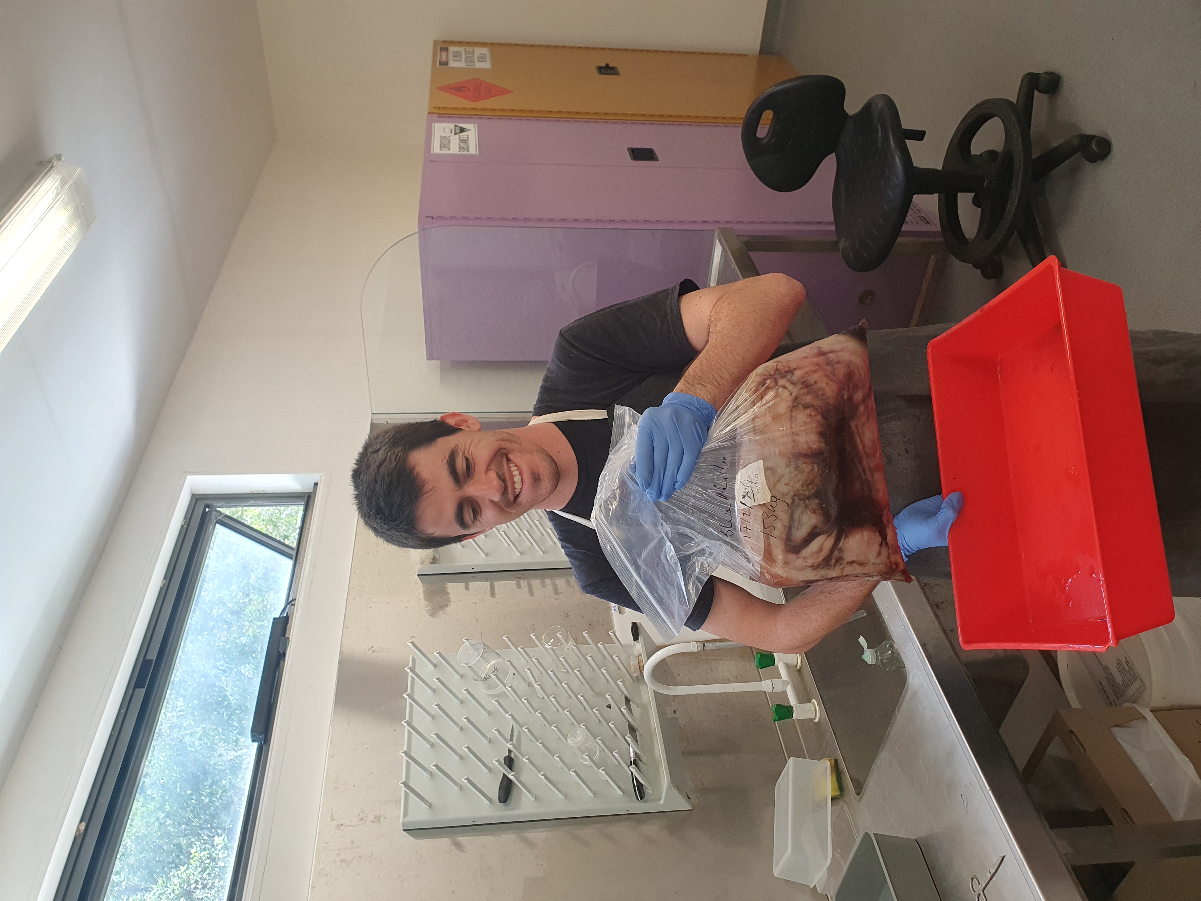 Tristan is undertaking PhD research at Macquarie University, testing methods to better understand and distinguish marlin diets. Photo: Macquarie University