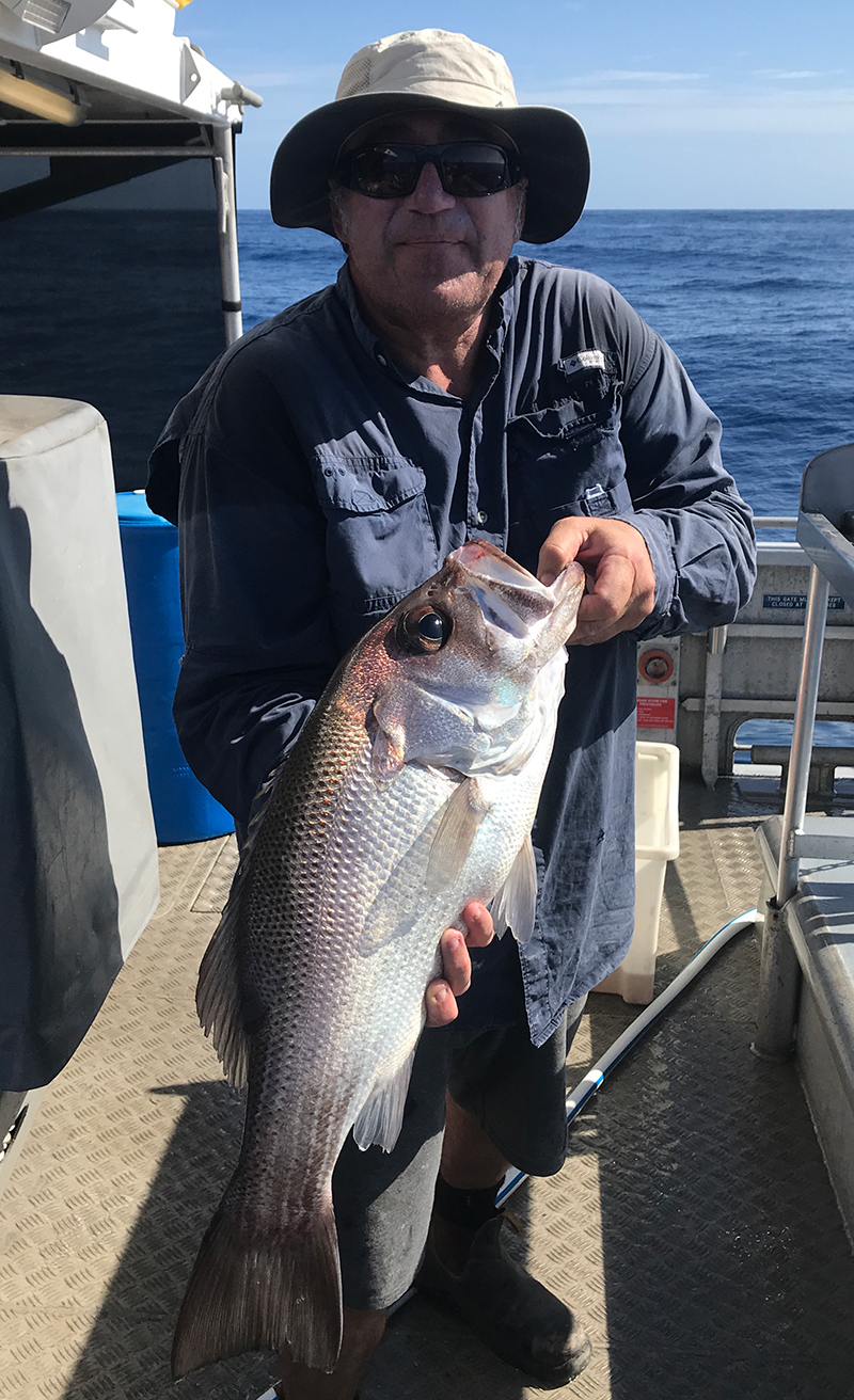 Photo of Matthew Campbell, Fisheries Biologist with the Queensland Department of Agriculture and Fisheries, with a Pearl Perch caught during field work aimed at assessing the species’ reproductive biology in Queensland. Photo by Mark McLennan. 