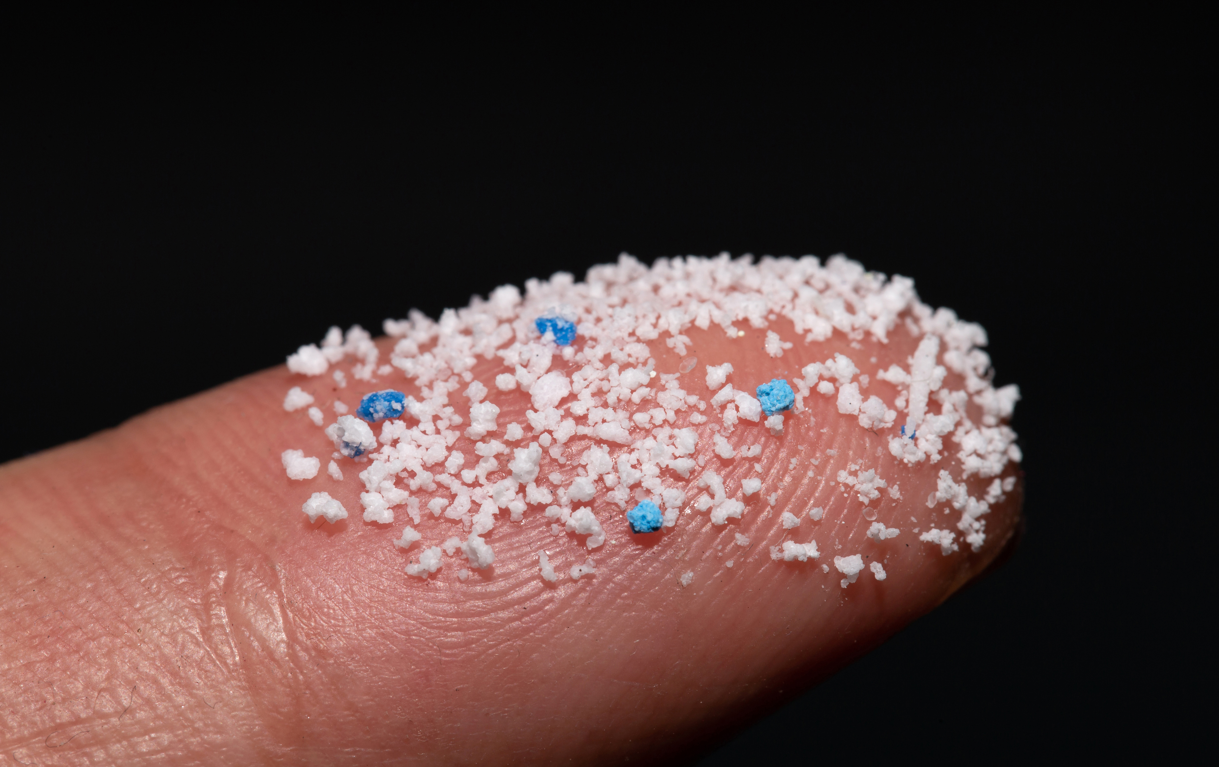 Microplastics Article