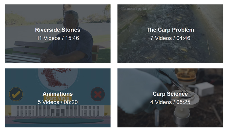 Montage image of key NCCP video collections