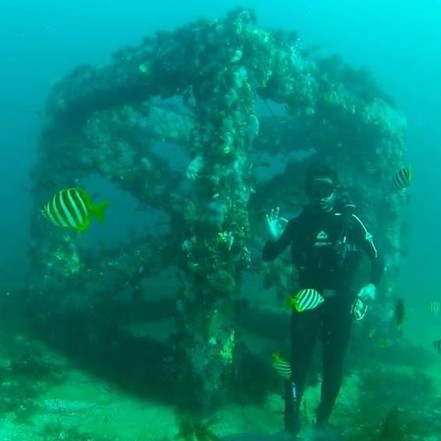 Man swimming underwater in reef
