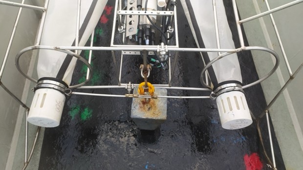 Eggs are collected in the cod ends of the sampling nets. Photo: IMAS
