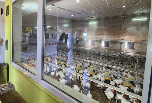 Pictured: Poultry Farm Kiek in box with display of components and informative Material