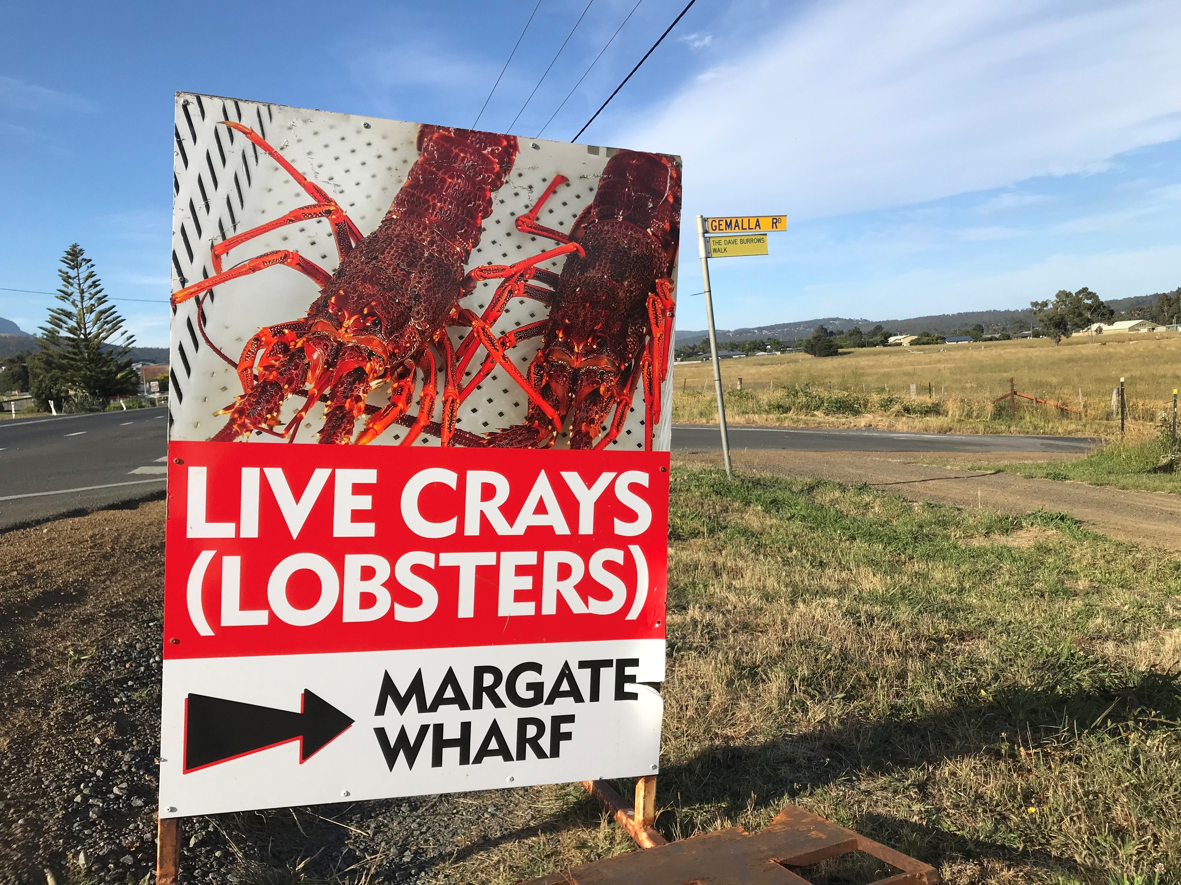 Rock lobster sign at Margate Wharf