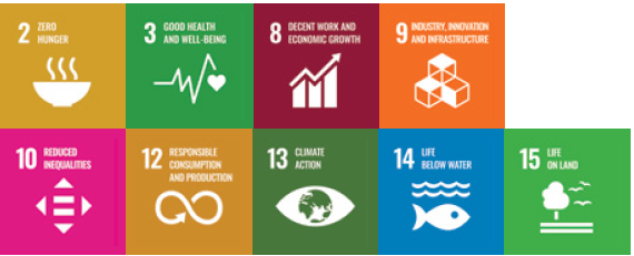 SDG Goals Theme 1