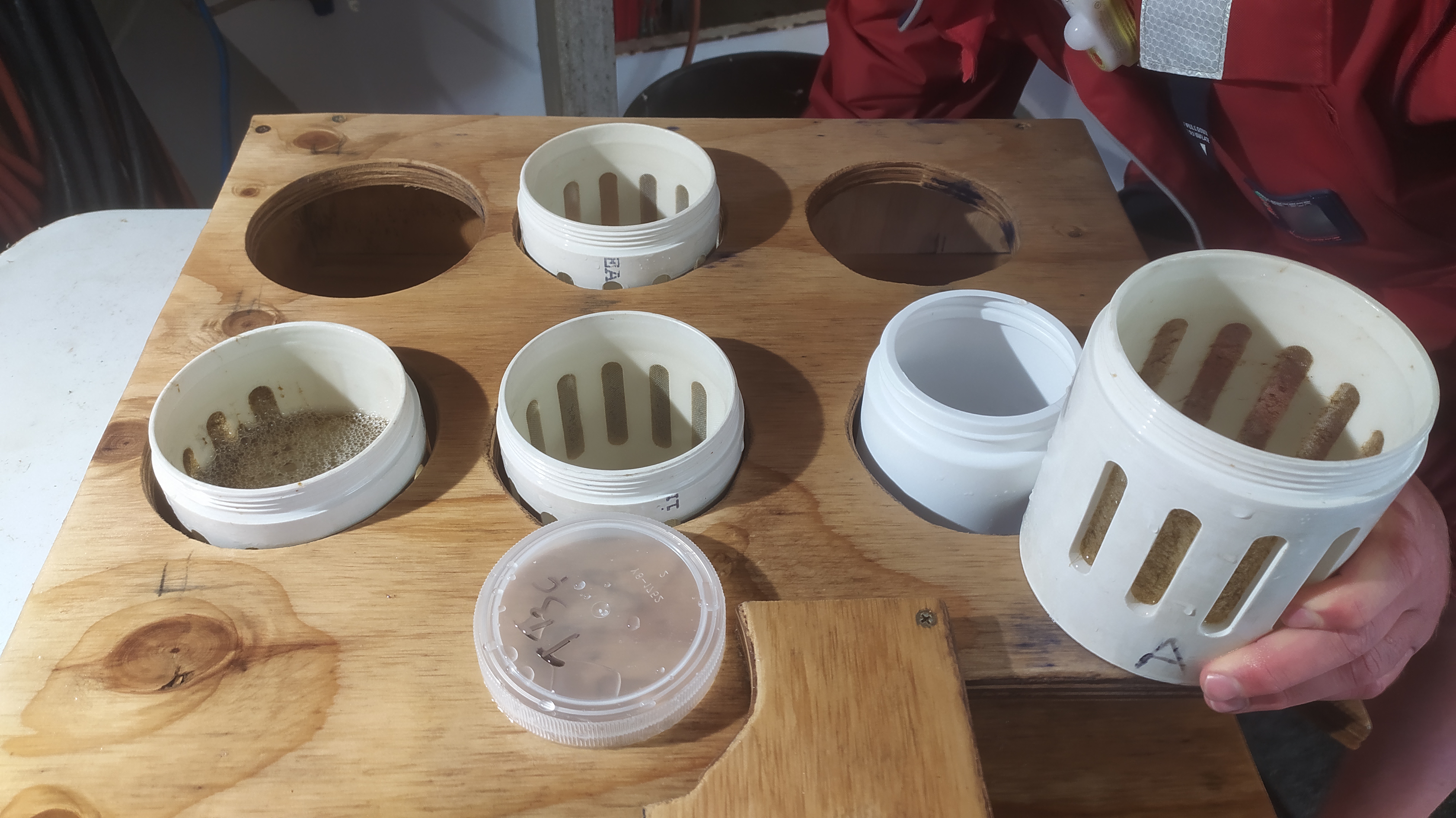 Egg samples collected from IMAS sitting on table
