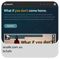 Preview of image of SeSafe website