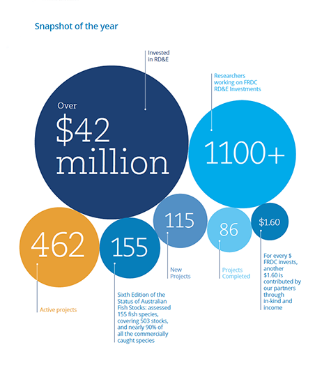 Annual report exerpt