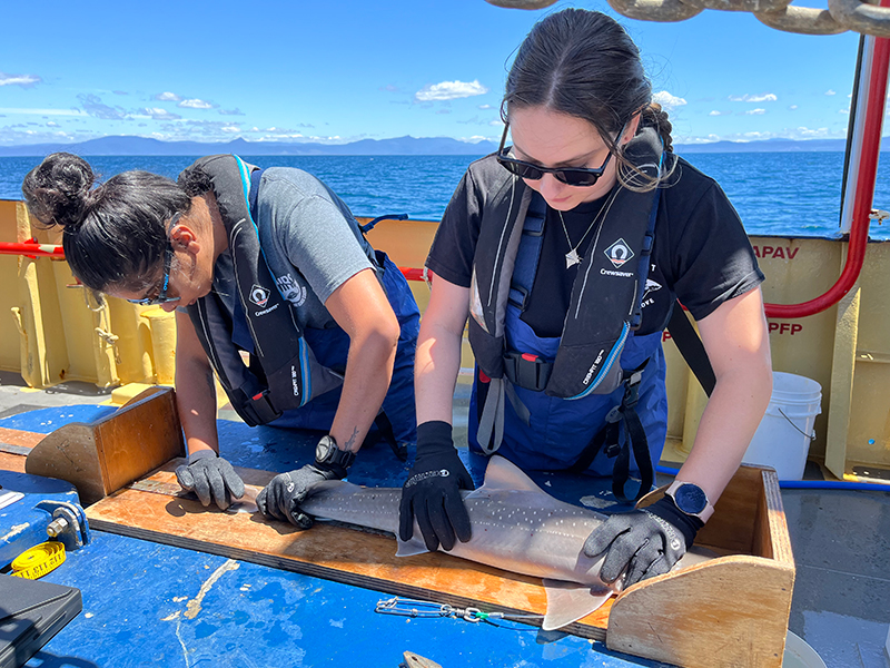 Photo of researchers undertaking stock assessments on board