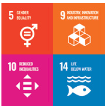 Theme 3 SDG's