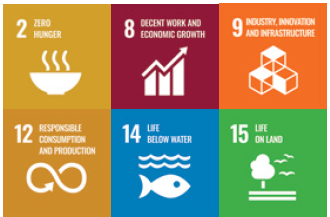 Theme 5 SDG's