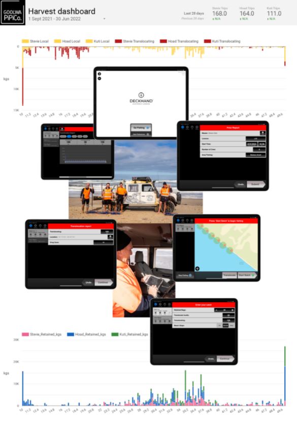 Goolwa PipiCo Harvest Dashboard