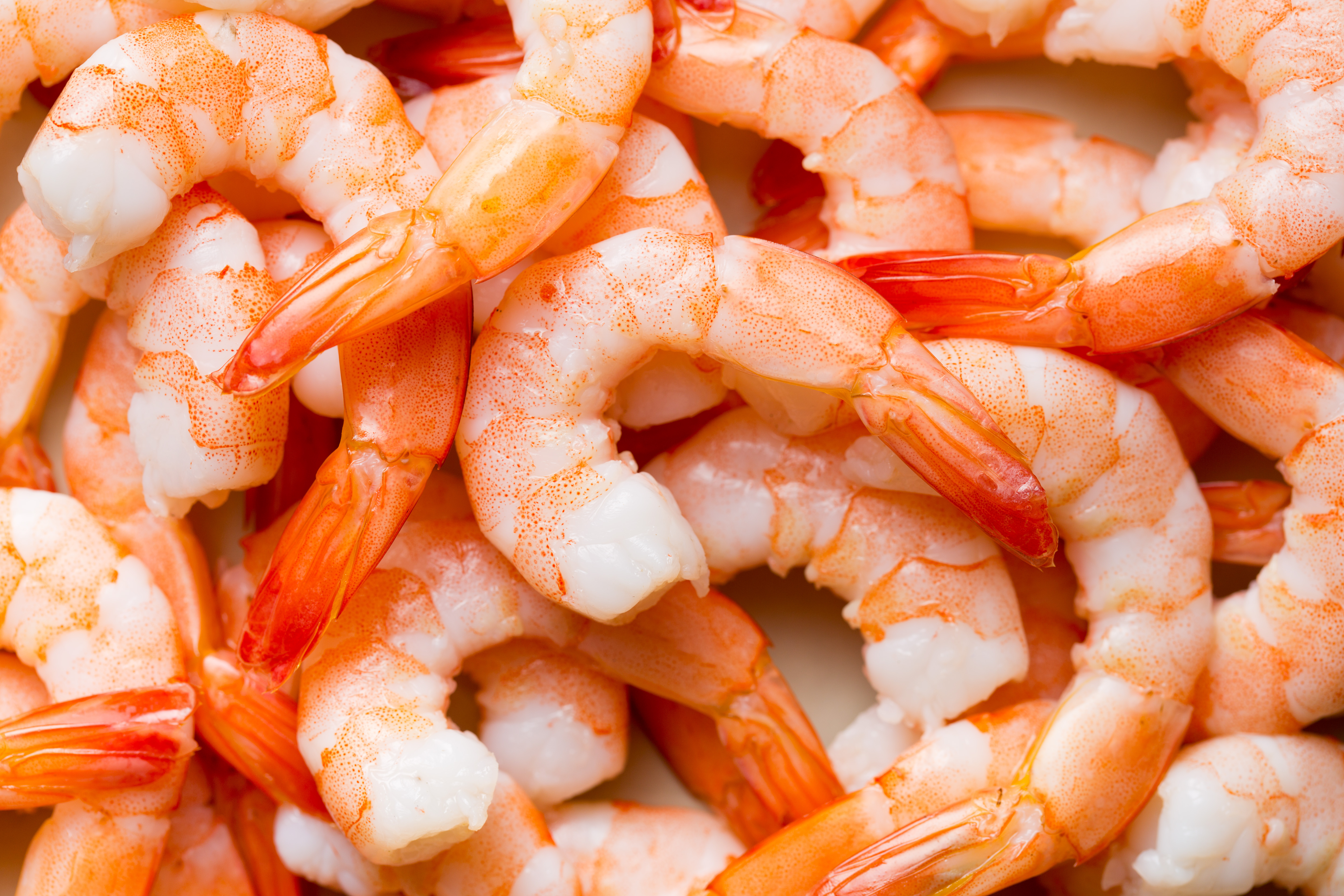 Water disinfection for influent water biosecurity on prawn grow-out farms