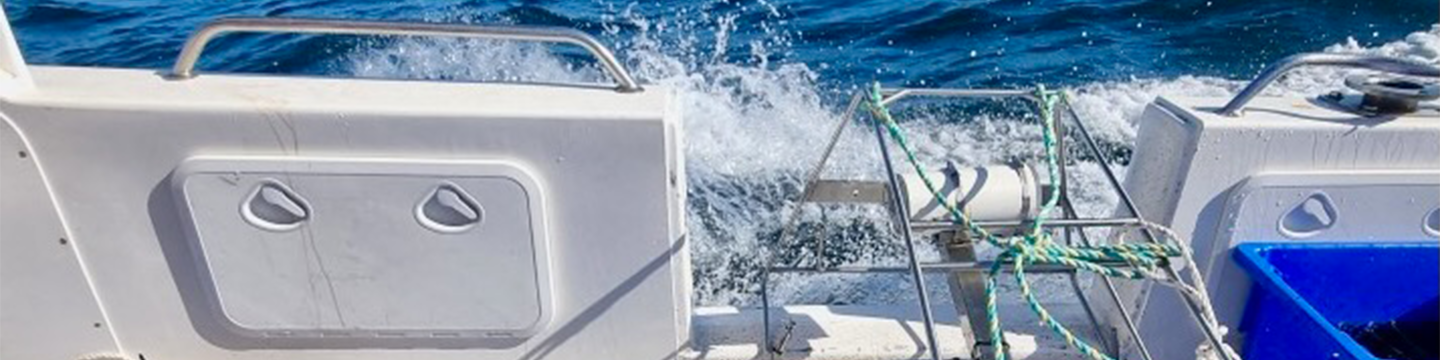 AI being explored for sustainable fisheries management