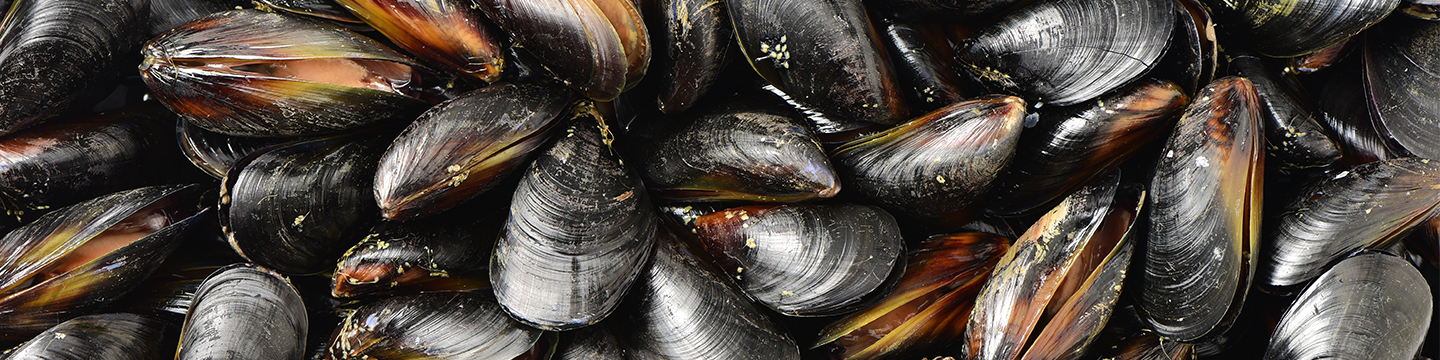 Aquaculture leads the way in global seafood consumption