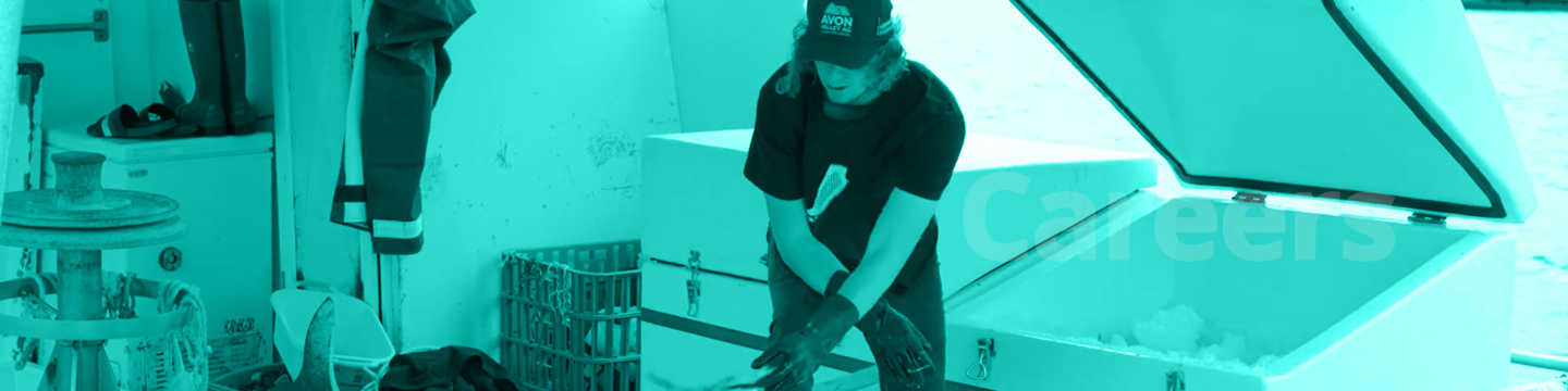 Take a deep dive: Careers