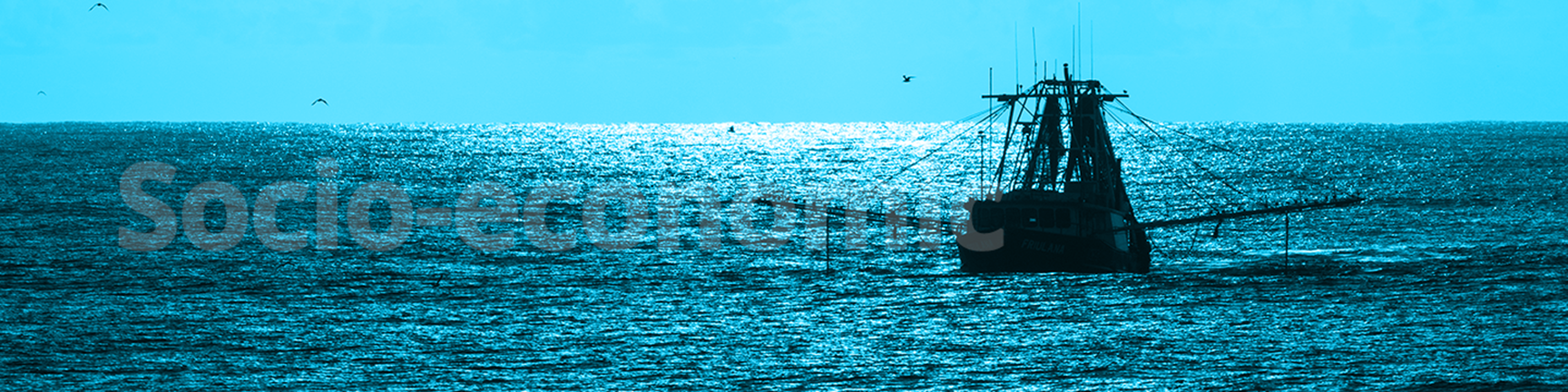 Take a deep dive: Socio-economic