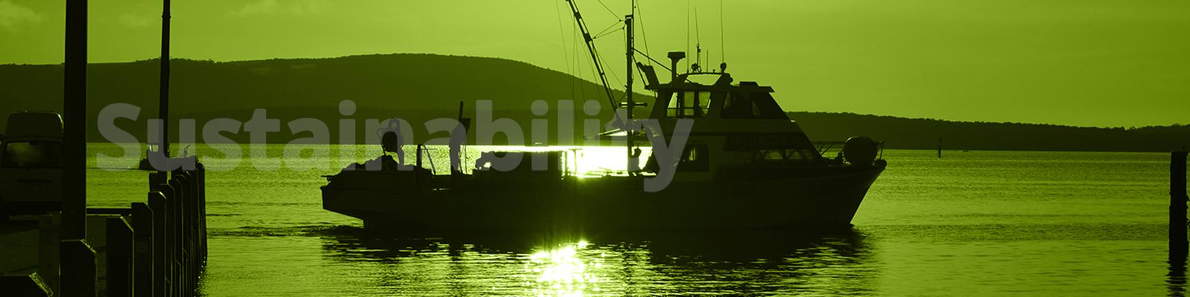 Take a deep dive: Sustainability
