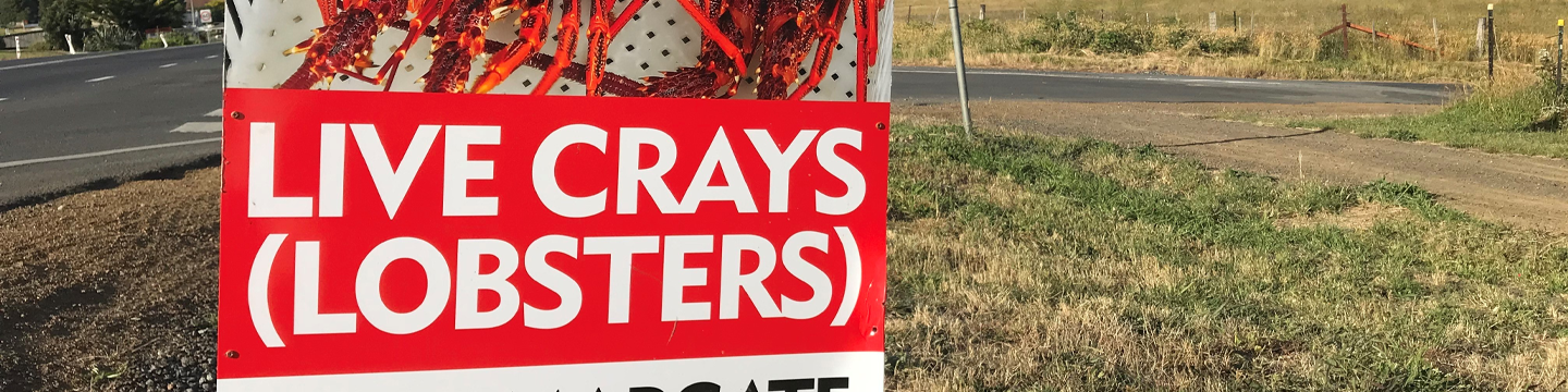 May FRDC News 2025 - COVID-19