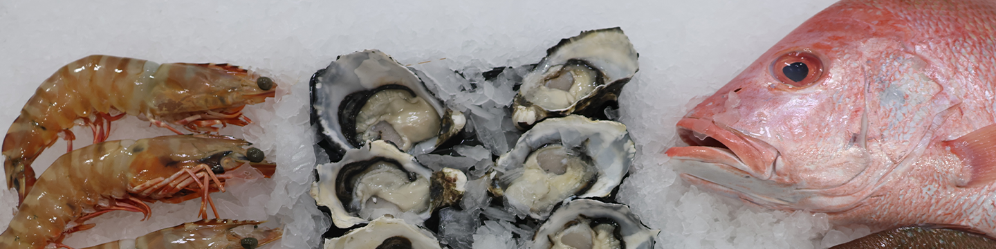 New Study on Health Benefits of Eating Seafood Released