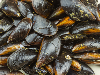 Mussels as a snack option to increase the omega-3 index and markers of recovery in female endurance athletes