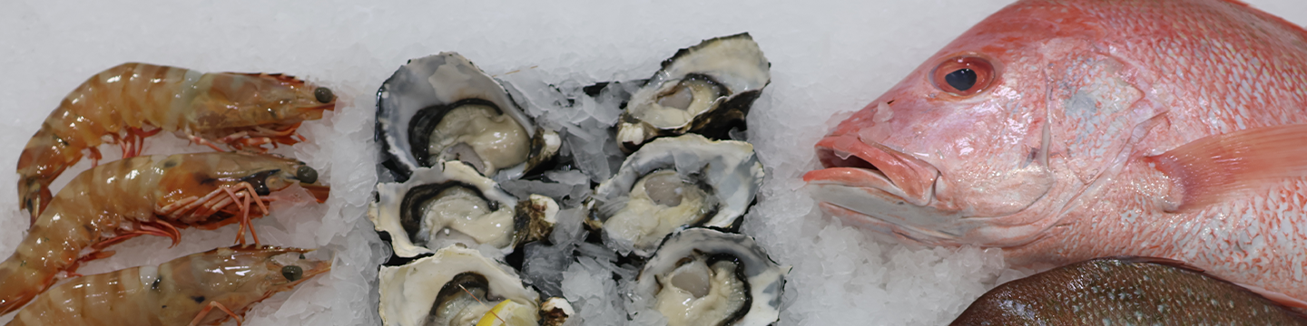 FRDC News June 2025 - Seafood Toolkit