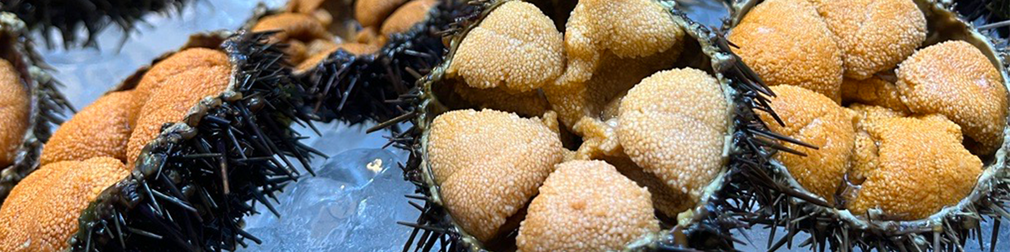 Urchin - Range Expansion