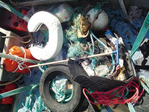Photo of plastics and rubbish collected during beach clean-ups