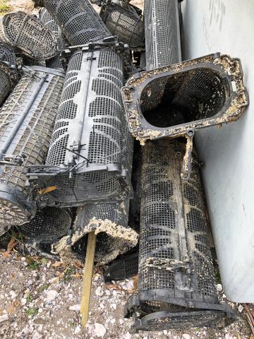 Photo of oyster baskets waiting for recycling 