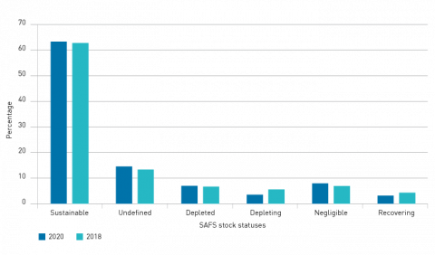 Graphic of percentage of stocks by category in years 2018 and 2020