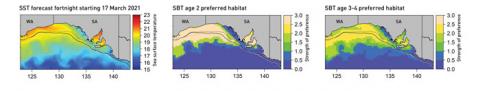 Graphic showing forecast temperatures and corresponding areas of preferred habitat of Southern Bluefish Tuna in the Great Australian Bight