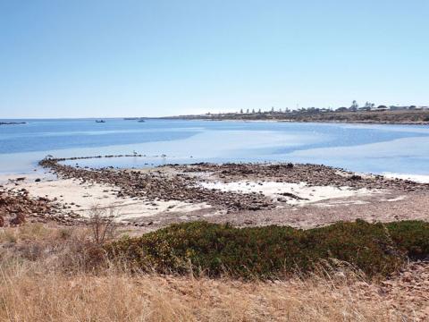 Photo of fish traps in the water at Port Victoria