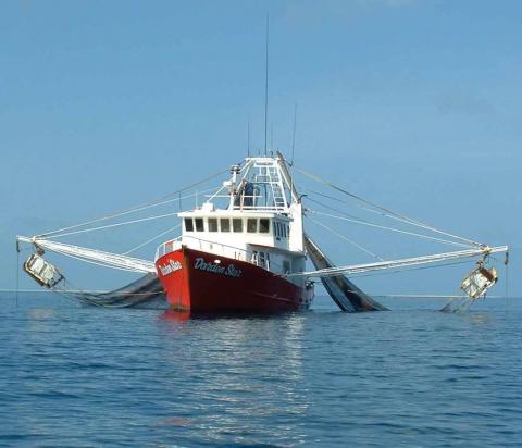 Photo of a trawler