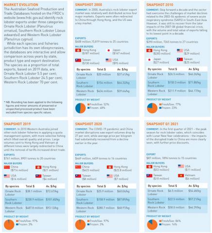 Graphic showing Australian Rock Lobster export numbers