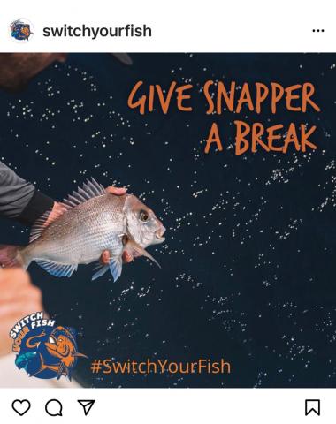 p23_screenshot_insta_switch-your-fish