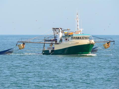 economic-modelling-prawn-trawler-gulf-of-carpenteria-shutterstock