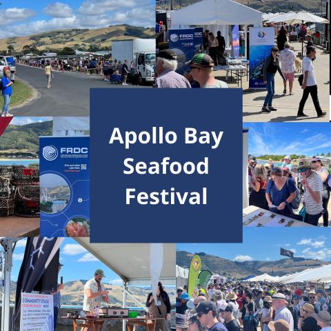 conference_apollobay-large.jpg Apollo Bay Seafood Festival 2023 photo montage