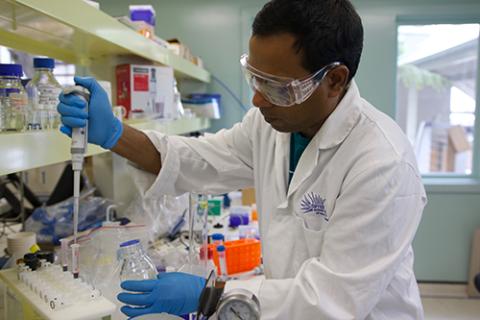 Chowdhury Sarowar at the Sydney Institute of Marine Science biotoxin facility prepares Spanish Mackerel samples supplied by recreational and commercial fishers to test for ciguatera toxins. Photo: SIMS